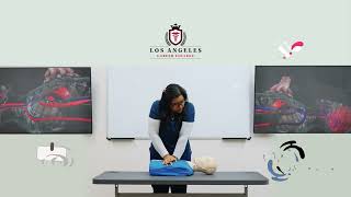 Master CPR Series How to Perform CPR on an Adult  AHA Guidelines [upl. by Adnouqal]