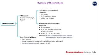 Photosynthesis  Chlorophyll  Bacteriochlorophyll  Bacteriorhodopsin  CSIR  IITJAM  GATE [upl. by Euv]