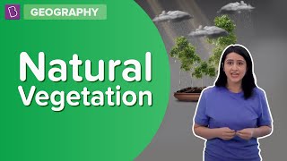 Natural Vegetation  Class 8  Geography  Learn With BYJUS [upl. by Aznofla]