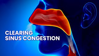 Sinus Relief Music Healing Frequency for Nasal Congestion [upl. by Carla]