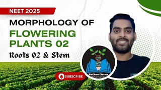 Modifications of Roots amp Stem  Plant Morphology 02  NEET 2025 [upl. by Wojcik]