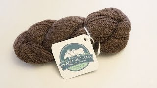 Dyepot Weekly 101  Overdyeing a Natural Dark Brown Wool Yarn [upl. by Neersin]