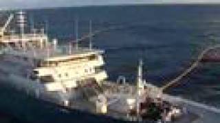 The Worlds Largest Tuna Fishing Vessel [upl. by Ardnosak334]