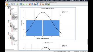 Descriptive Data Analysis with SPSS [upl. by Livia669]