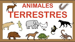 ANIMALES TERRESTRES 🐥 Vocabulario 🐘 ARASAAC [upl. by Lanuk]