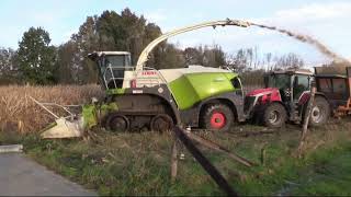 Maïs 2023  Claas Jaguar 960 Terra Trac  5x Massey Ferguson  4x Dezeure  muddy field  Verreth [upl. by Notselrahc]