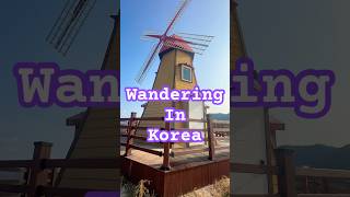 wanderingaround windmill koreanadventures exploringkorea getlost coldday windy random [upl. by Derag]