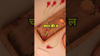 Rakhi special shyari  Bhai behan whatsapp status  rakhispecial bhaibehanstatus rakhi sad [upl. by Eslek]