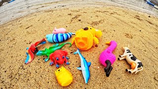 Find Animal Toys at the Harbour  Learn Animal Names amp Facts Lizard Shark Tiger Horse Frog Cow [upl. by Nicolis]