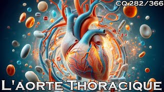 Anatomie de lAorte thoracique  CQ282 [upl. by Nore613]