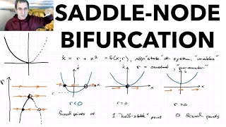 Bifurcations Part 1 SaddleNode Bifurcation [upl. by Shae]