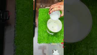 Condensed milk recipe chefpooja21 rajasthan recipe condensedmilkrecipe milkpowder festival [upl. by Yelad744]