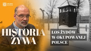 AuschwitzBirkenau Los Żydów w okupowanej Polsce  HISTORIA ŻYWA [upl. by Eydnarb]