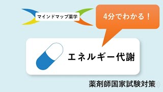 【薬剤師国家試験・生物】4分でわかる！エネルギー代謝の全体像 [upl. by Nosral]