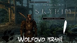 Skyrim Special Edition  1díl  Útěk  CZ Lets Play [upl. by Descombes]