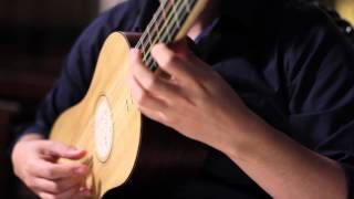 Canarios  Gaspar Sanz  Baroque Guitar [upl. by Haidabej]