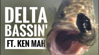 Summer Delta Bass Fishing Ft Ken Mah [upl. by Haelahk]