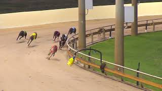 Rockhampton04122024Race1 [upl. by Kcirddor]