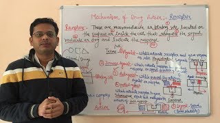 Receptor Pharmacology Part 01  Agonist  Inverse Agonist  Antagonist  Partial Agonist [upl. by Alithia]