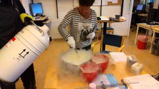 How to make icecream with liquid nitrogen Flytande Kväve [upl. by Foley95]