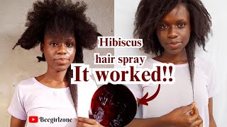 Hibiscus hair spray for hair growthhairgrowthtips Hibiscusforhairgrowth naturalhair hibiscus [upl. by Leunamnauj417]