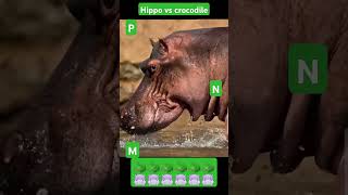 Hippo vs crocodile🐊🐊🐊🐊🐊🐊🐊🐊🦛🦛🦛🦛🦛🦛🦛 [upl. by Pokorny73]