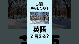 【これ全部英語で言える？】5問英会話｜寒い冬16～20 MimiListening 英語リスニング 英語聞き流し [upl. by Lai699]