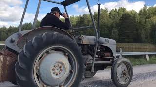 Köp veterantraktor Ferguson TED 20 Grålle på Klaravik [upl. by Alla]