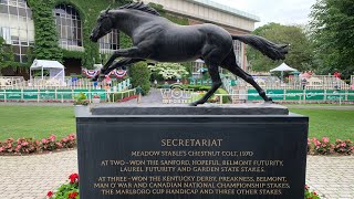 BELMONT STAKES 2023  Análisis EN VIVO [upl. by Karleen272]