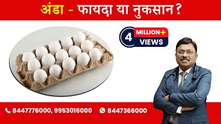 Egg  Harmful or Beneficial  By Dr Bimal Chhajer  Saaol [upl. by Yelyab]