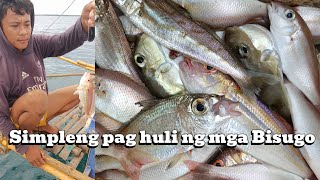 Simpleng paghuli ng mga Bisugo [upl. by Areehs]