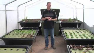 Aquaponics Garden Kits for Your Backyard [upl. by Eetse511]