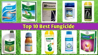 Top 10 Best Fungicide [upl. by Eilrac684]