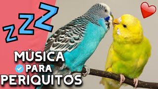 🎵🐦Música para PERIQUITOS RELAJANTE 🎵🐦  Música RELAJANTE para calmar periquitos verdes y aves 2021 [upl. by Sicard439]