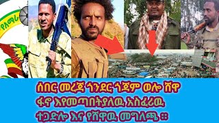 ሰበር ሰበር መረጃ በሁሉም የአማራ ግዛቶች መራዊ ወሎ ሸዋ ጎጃም አዲስ ቅዳም። የሸዋ መግለጫ ። የአዲስ አበባ መከራ እና የነጋዴዎች ስግብግብነት [upl. by Araihc]