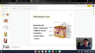 CH6 4 Subcutaneous Layer Hypodermis [upl. by Levina]