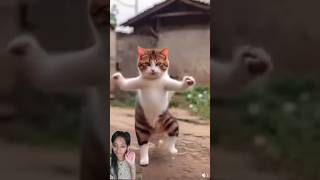 Cat dance 🐒🐱 cat marathicomedy funny catlover comedy cute ytshorts elephant flute cute [upl. by Yci947]