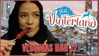 Jul i Vinterland TASTE TEST Vlogmas dag 12 [upl. by Belsky]