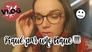 ❥ 497 PIQUE PAR UNE TIQUE  VLOG FAMILLE  ♥ [upl. by Rox]