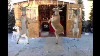 Santa and Reindeer Dancing  Merry Christmas  Happy New Year 2024 [upl. by Danita]