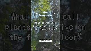 What do you call plants that live on the forest floor plant ecosystem facts quiz [upl. by Ahsinirt]