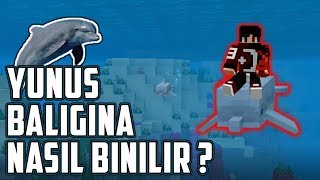 YUNUS BALIĞINA NASIL BİNİLİR   MİNECRAFTPEW10EXBOX [upl. by Nevets]