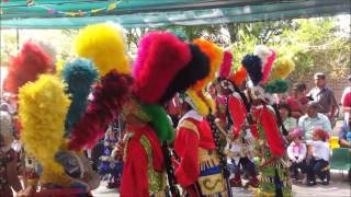 Danzantes Matlachines  Matachines de Jesus Maria  Ags  Mexico [upl. by Anolahs]