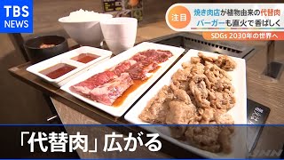 未来の食を守る「代替肉」広がる【ＳＤＧｓ ２０３０年の世界へ】【Nスタ】 [upl. by Gilpin]