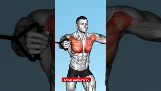 🤬😱 upper chest all exercises tips motivation💪♥️ tanish gymlover TG 🏋️‍♂️💯😈youtubeshorts [upl. by Airla95]