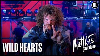 DIRECT – Wild Hearts  Matthijs Gaat Door [upl. by Saerdna426]