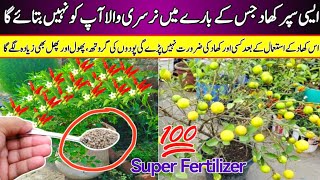 High Power Fertilizer For All Plants at home garden  DAP fertilizer benefits amp use [upl. by Cagle]