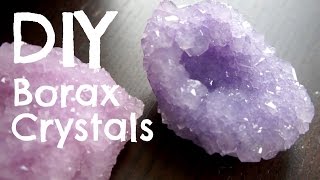 How to Make Borax Crystals [upl. by Htepsle516]