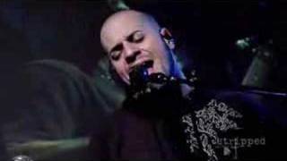 Daughtry  Its Not Over Acoustic  Stripped [upl. by Woothen]