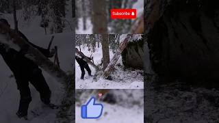 State forest camping with hevy snow❄️🌨️shorts campingintherain bushcraft survival outdoors [upl. by Aneeg298]